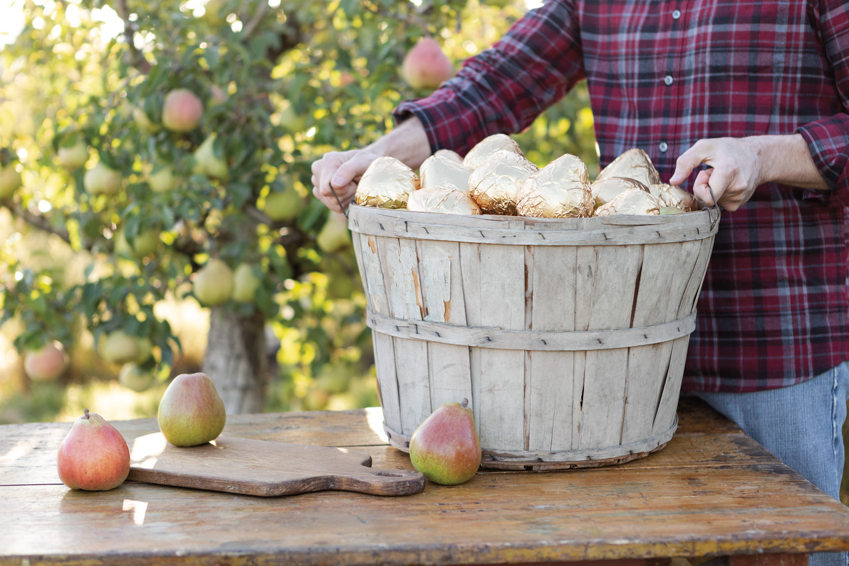 Photo of apples in a basket and on a table
